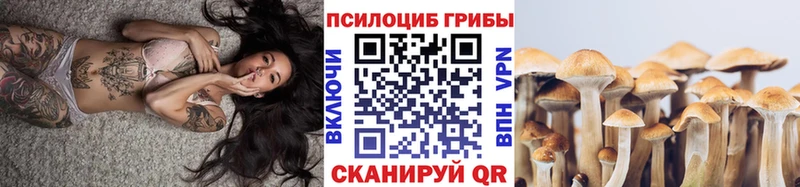 закладки Палласовка Псилоцибиновые грибы GOLDEN TEACHER